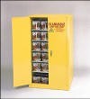 Paint and Ink Safety Cabinet