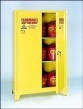 chemical storage cabinet