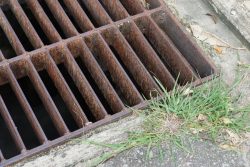 storm drain grate cover