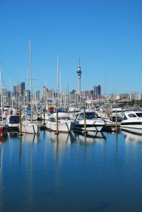 yachts moored in a city marina