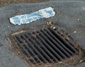 storm drain grate