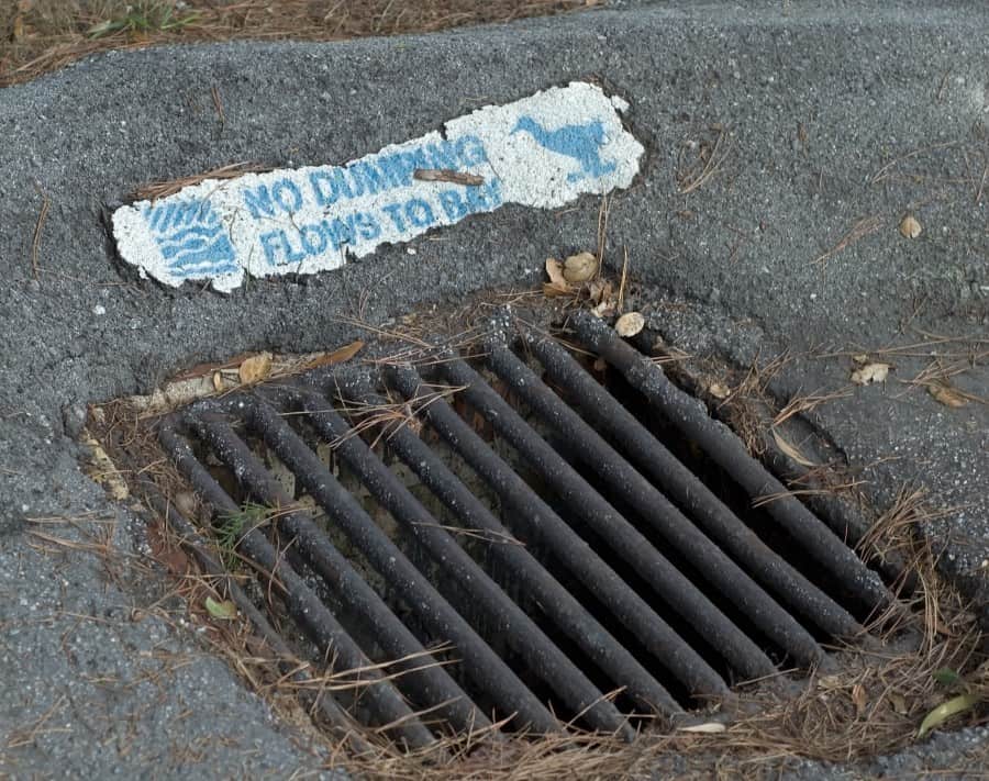 Drain Covers Are They Really Necessary Absorbentsonline