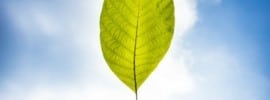 Green future