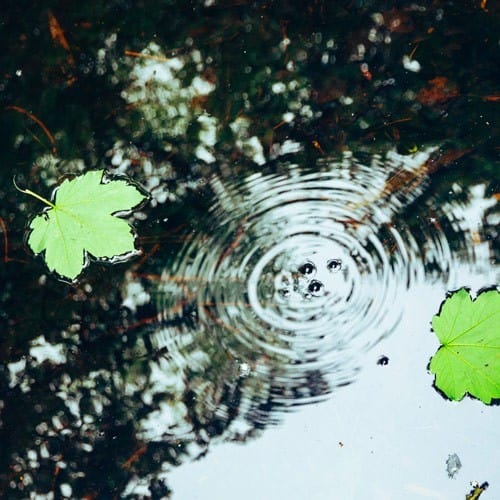 ripple in outdoor water source