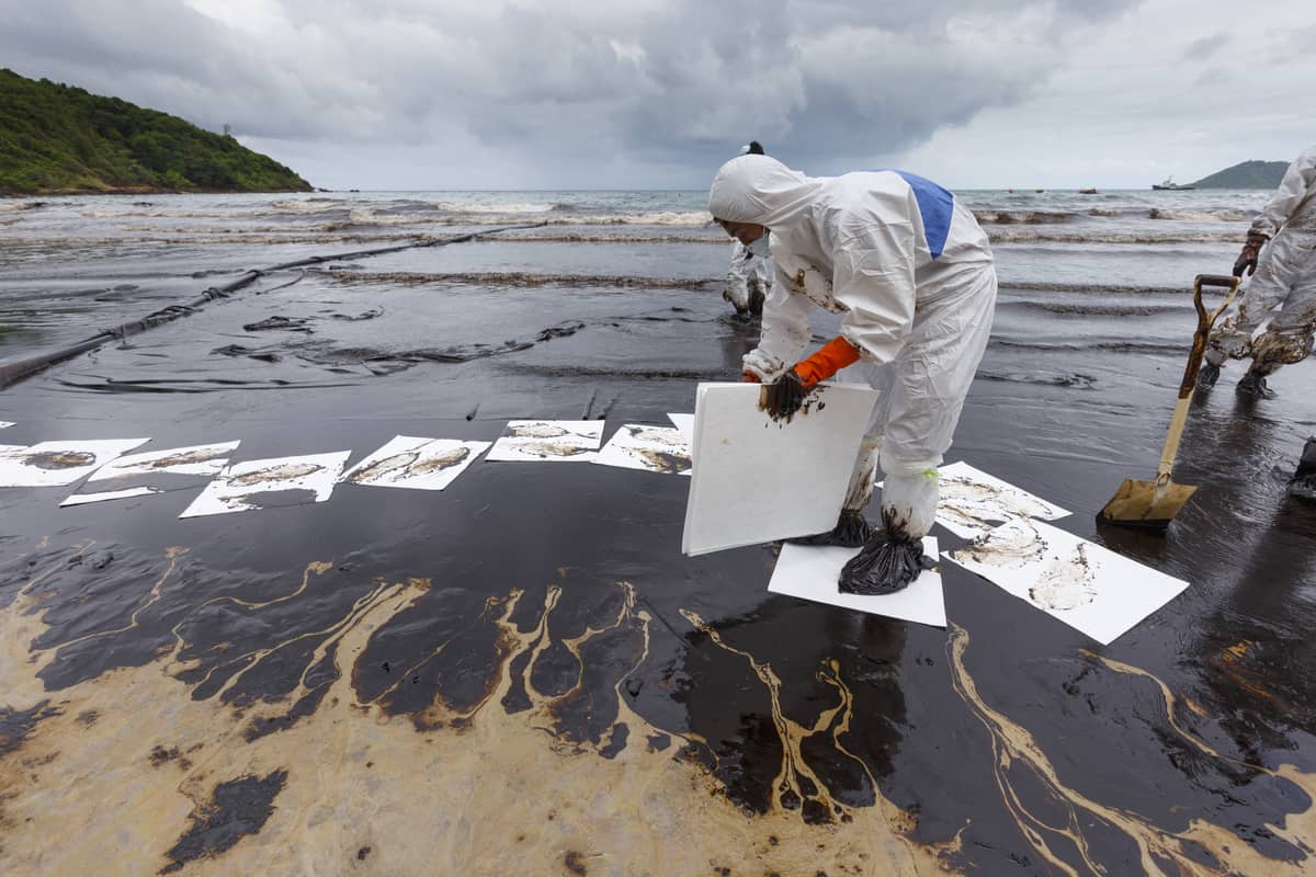 Sorbent Materials For Oil Spills Store Deals Elevate in